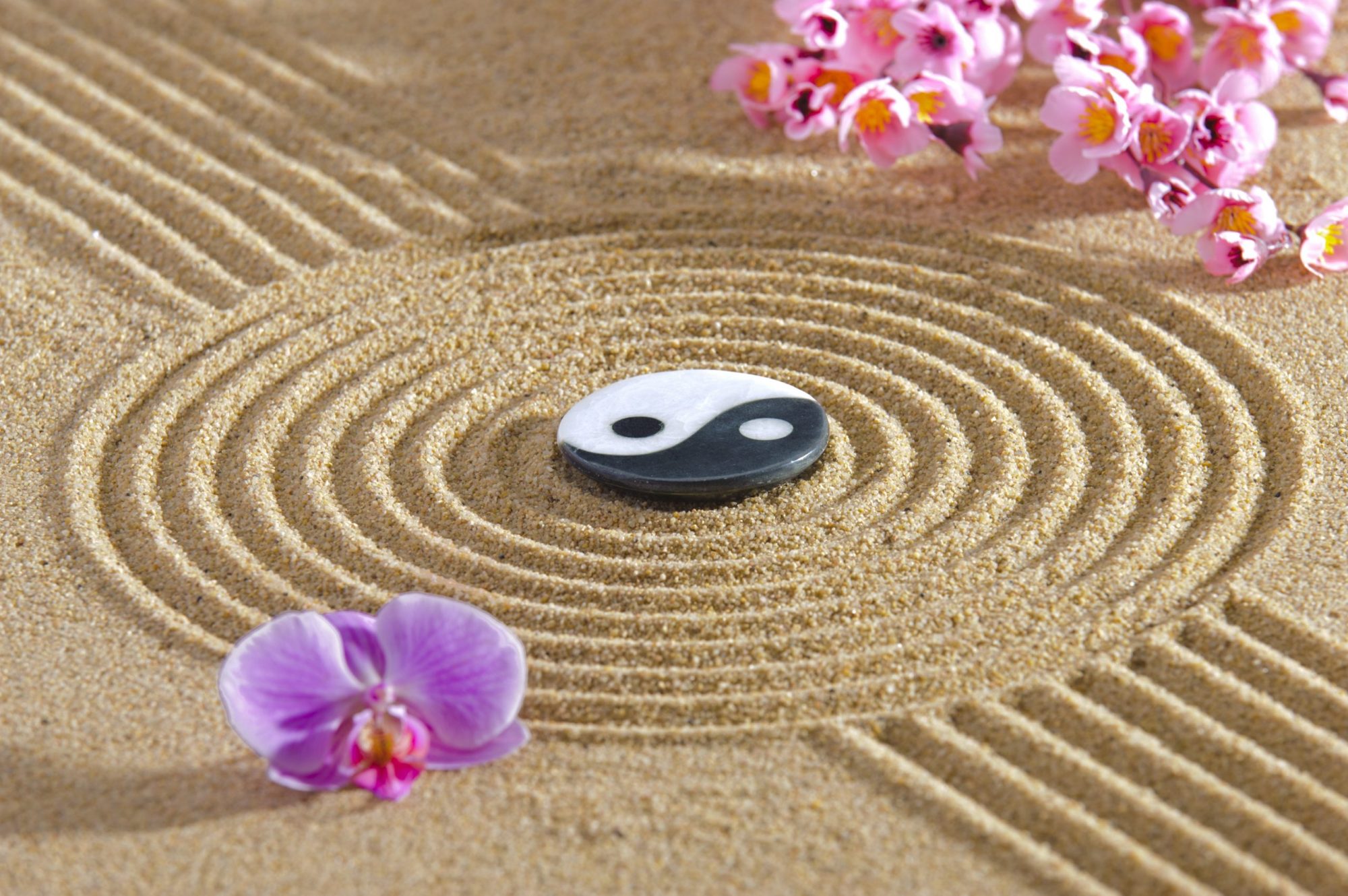 Meditazione Alchemica