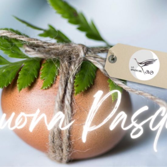 Immagine a descrizione dell'articolo