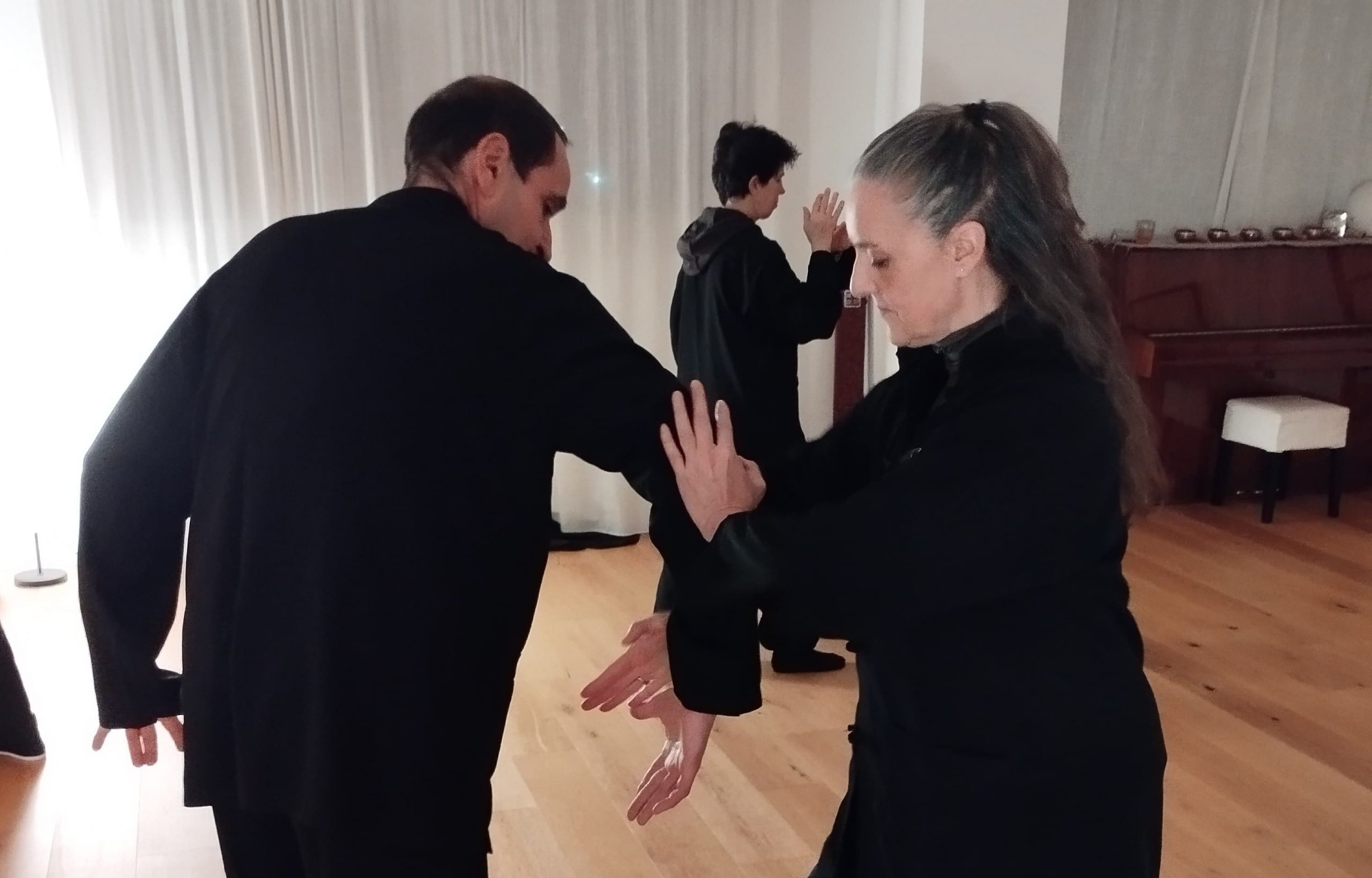 Tao Lab – pratiche di Tai Chi a coppie
