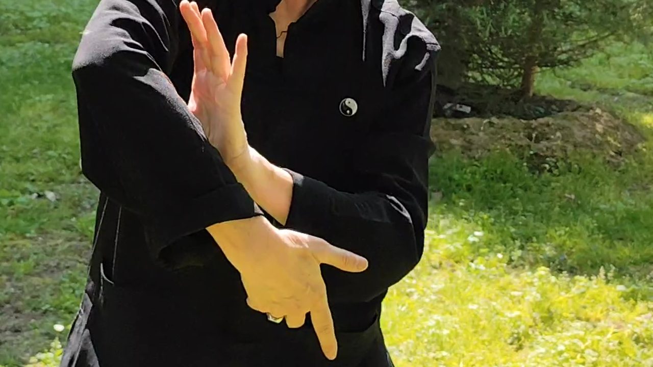 Donella Bucca - Lo Spazio del Tao