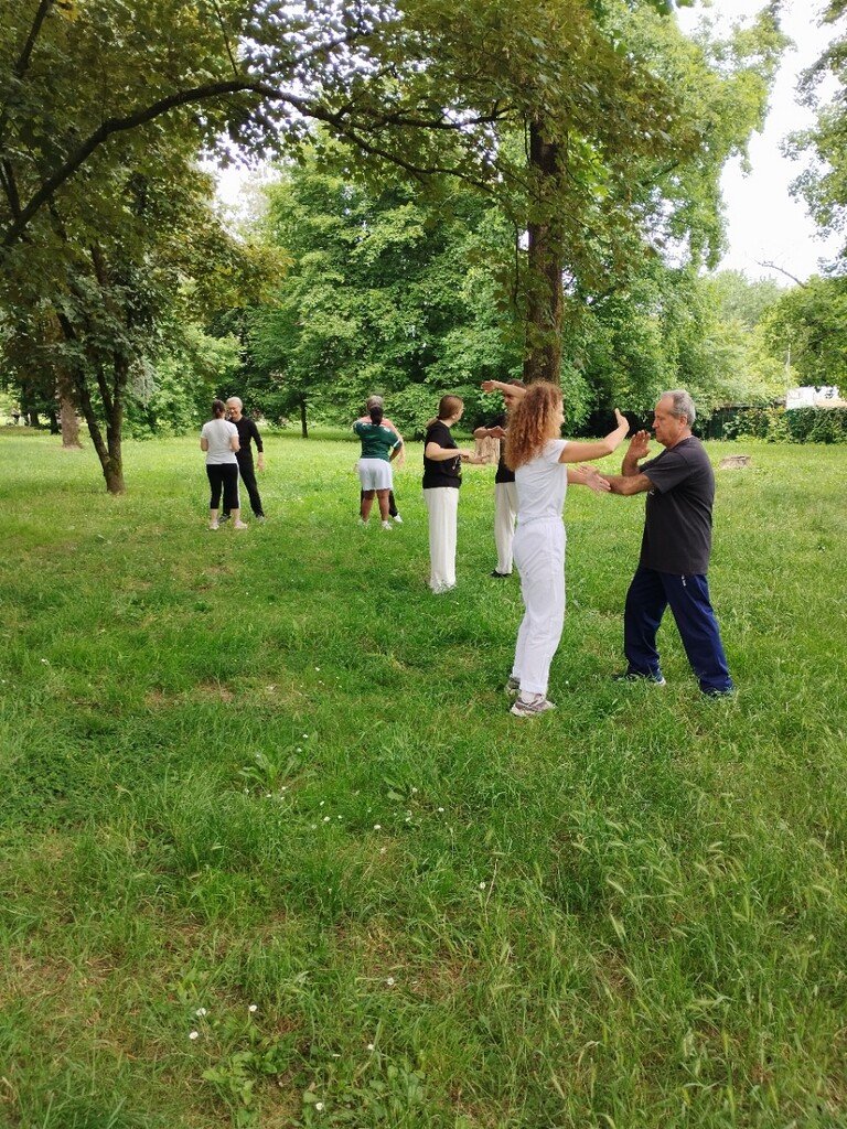 Praticare Tai Chi al Parco