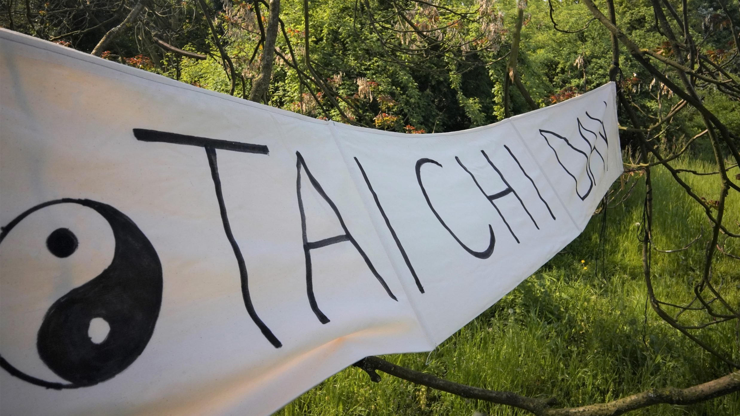 Giornata Mondiale del Tai Chi e Qi Gong