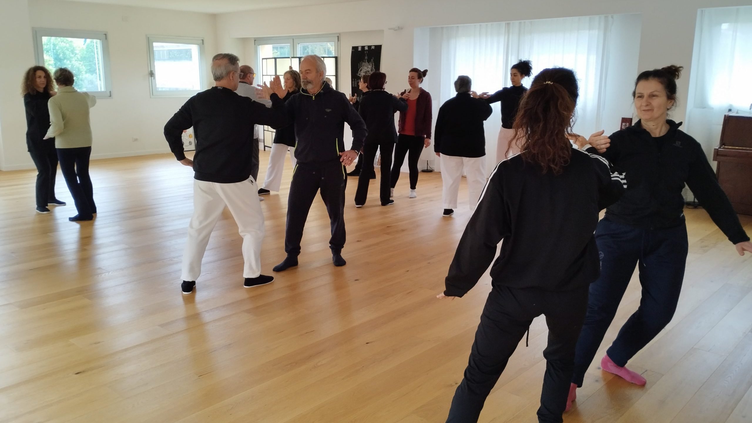 pratiche a coppia - tui shou a Lo Spazio del Tao