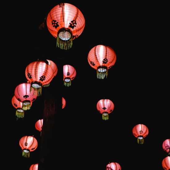 pexels-eva-bronzini-6068536